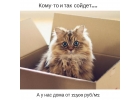 Продаю дом в хорошие руки