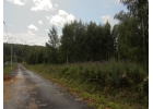 Предлагаю приобрести участок 255 в дачном поселке Генеральский.